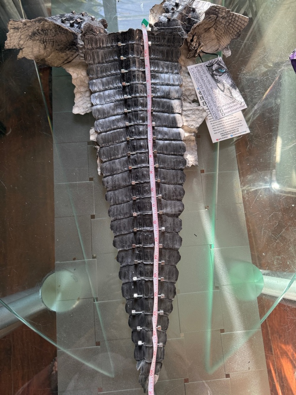 Exotic Real Grey Crocodile Front Bib - Picture 11 of 16